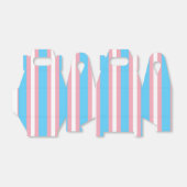 縦トランスジェンダープライドフラグ フェイバーボックス (折り畳みなし)