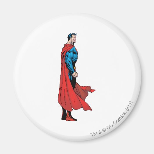 縦断ビュー マグネット (正面)