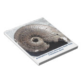 縫合を示す美しい黄鉄鉱アンモン岩の化石 ノートパッド (アングル)