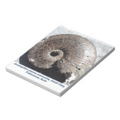 縫合を示す美しい黄鉄鉱アンモン岩の化石 ノートパッド (回転)