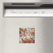 縮んだ磁石 マグネット (インサイチュ (食洗機))