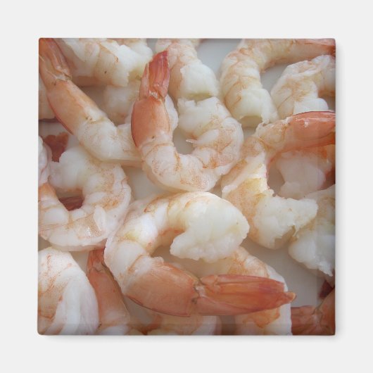 縮んだ磁石 マグネット (正面)