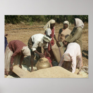 繁栄と恵み写真ポスタープリント ポスター