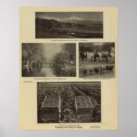 繁栄、オレゴンでは十分 ポスター (正面)