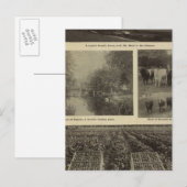 繁栄、オレゴンでは十分 ポストカード (正面/裏面)