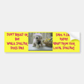 繁殖させませんでしたり、または買わないで下さい! 採用して下さい バンパーステッカー (正面)