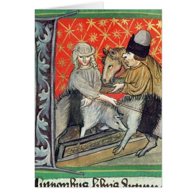 繁殖のブタおよび馬 (正面)