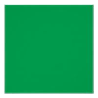 繊細で複雑な模様の緑のシダ