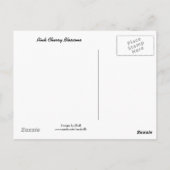 繊細なさくらんぼの花 ポストカード (裏面)