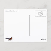 繊細なアーチを目指す道の日の出 ポストカード (裏面)