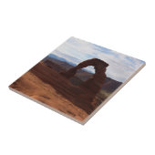 繊細なアーチIアットアーチズナショナルパーク タイル (側面)