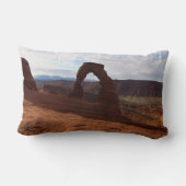 繊細なアーチIアットアーチズナショナルパーク ランバークッション (裏面)