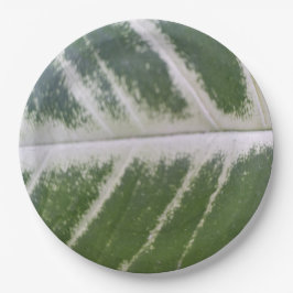 繊細なエレガント白い線を持つ9インチグリーンリーフ ペーパープレート