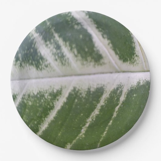 繊細なエレガント白い線を持つ9インチグリーンリーフ ペーパープレート (正面)