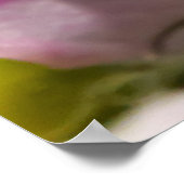 繊細なオルキッド ポスター (角)