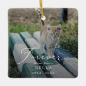 繊細なオーバーレイフォトペットキャットメモリアルホリデー セラミックオーナメント (正面)