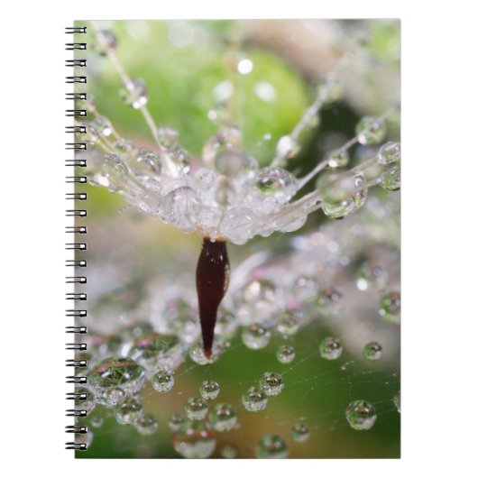 繊細なタンポポ抽象芸術 ノートブック (正面)