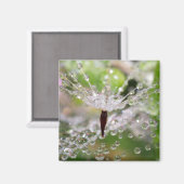 繊細なタンポポ抽象芸術 マグネット (正面/裏面)