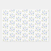 繊細なデイジー ラッピングペーパーシート (正面)