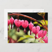 繊細なハート待ち ポストカード (正面/裏面)