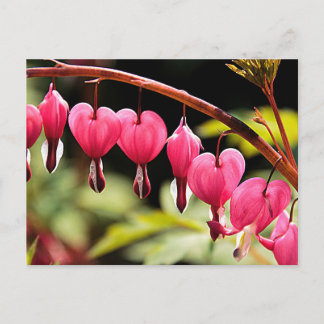 繊細なハート待ち ポストカード