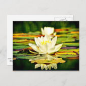 繊細なパステルイエローと白のユリ ポストカード (正面/裏面)