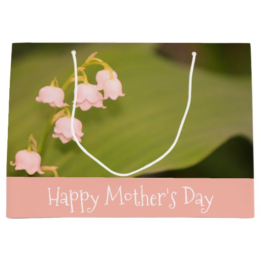 繊細なピンクとオリーブグリーン ラージペーパーバッグ (正面)