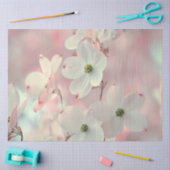 繊細なピンクのハナミズキの花を分離 薄葉紙 (クラフト)