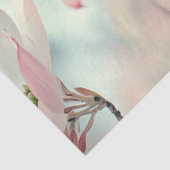 繊細なピンクのハナミズキの花を分離 薄葉紙 (詳細)