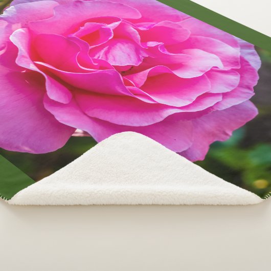 繊細なピンクのバラ。 シェルパブランケット (3/4)