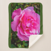 繊細なピンクのバラ。 シェルパブランケット (正面)