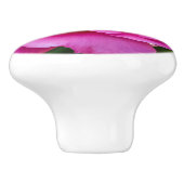 繊細なピンクのバラ。 セラミックノブ (側面)