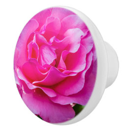 繊細なピンクのバラ。 セラミックノブ