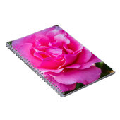 繊細なピンクのバラ。 ノートブック (右側)
