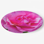 繊細なピンクのバラ。 ペーパープレート (アングル)