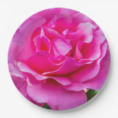 繊細なピンクのバラ。 ペーパープレート (正面)