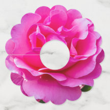 繊細なピンクのバラ。