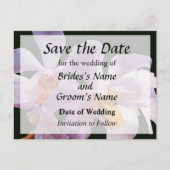 繊細なピンクのラン 保存の日付 案内ポストカード (正面)