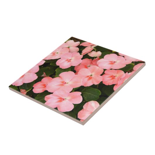 繊細なピンクの春の花 タイル (側面)