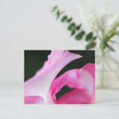 繊細なピンクの花花びらの工芸品 ポストカード (スタンド正面)