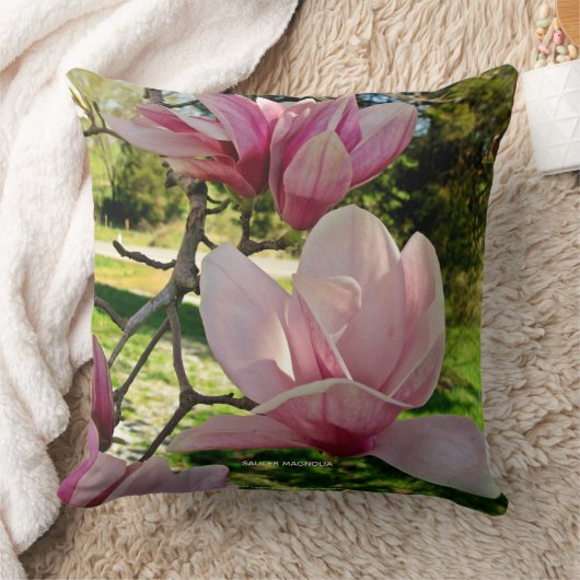 繊細なピンクマグノリアフローラ写真 クッション (ブランケット)