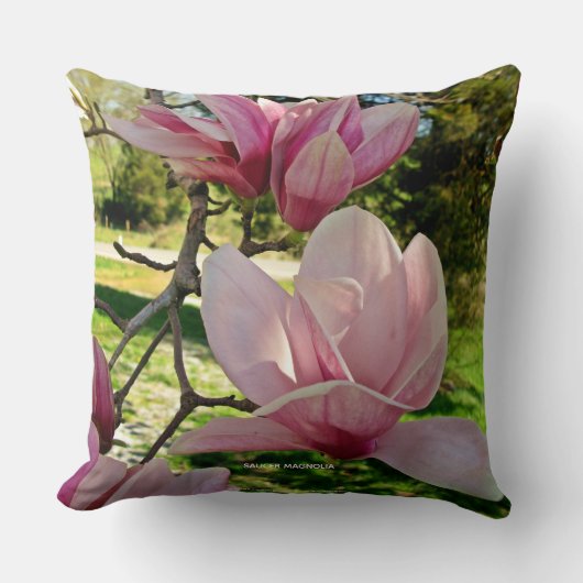 繊細なピンクマグノリアフローラ写真 クッション (正面)