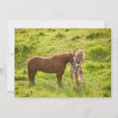 繊細なフローラ写真の卒業発表 案内状 (裏面)