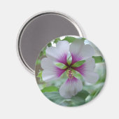 繊細なユリ – マグネット (正面/裏面)