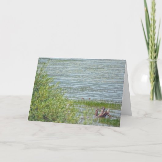 繊細な動き カード (正面)