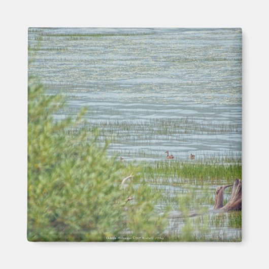 繊細な動き マグネット (正面)