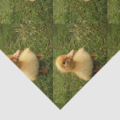 繊細な動物の子どもたち 薄葉紙 (詳細)