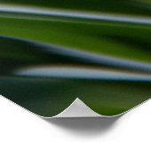 繊細な可愛い水仙の春ポスター ポスター (角)