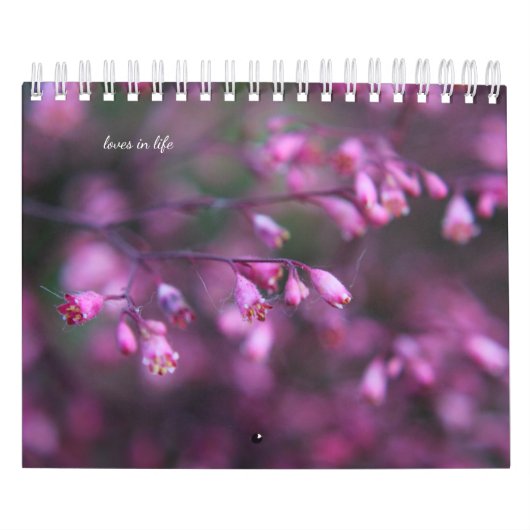繊細な夏の花 カレンダー (カバー)