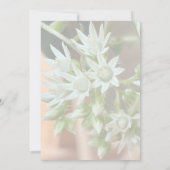 繊細な多肉性フローラ背景ブライダルシャワー 招待状 (裏面)